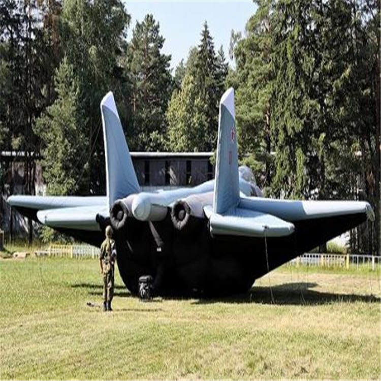 青龙充气飞机模型